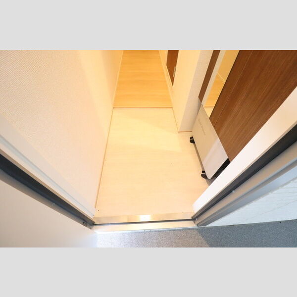 パークサイド新検見302号室 玄関