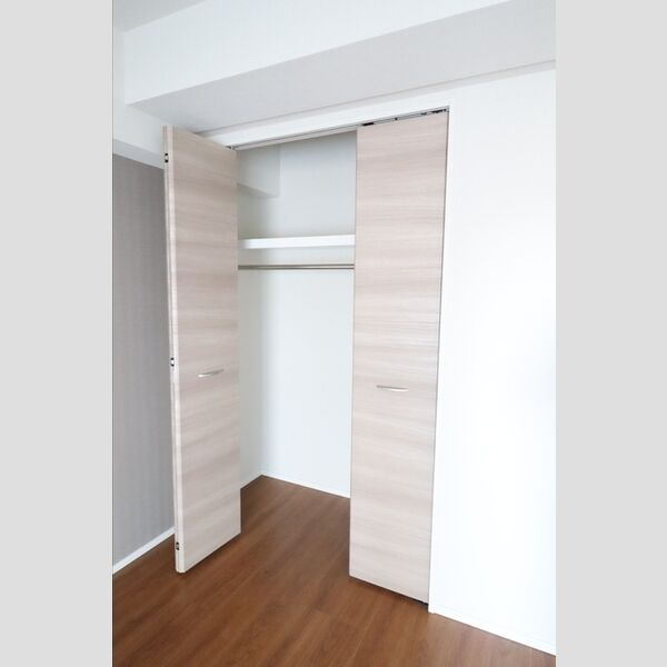 グレースクレスト八潮606号室 クローゼット