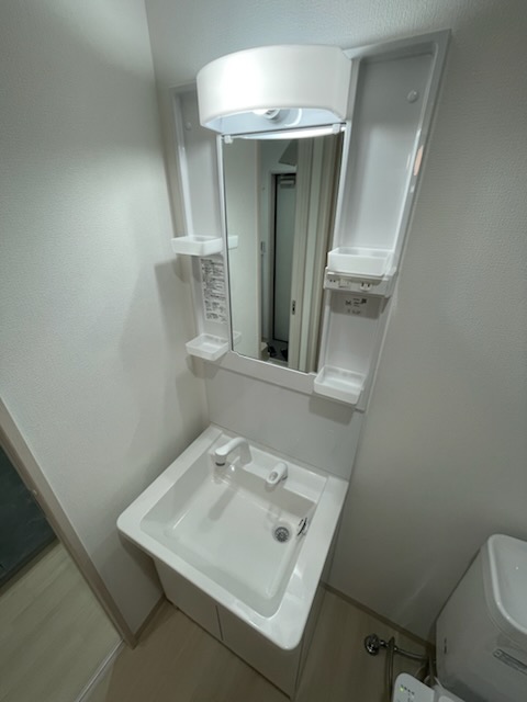 ブリーズ東船橋0303号室 洗面