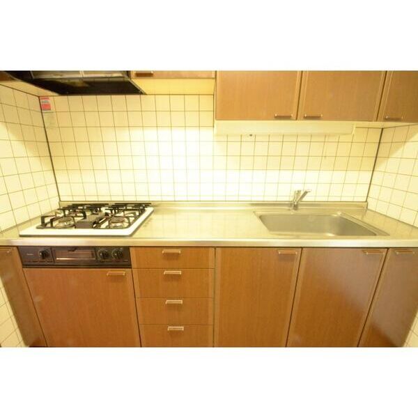 綾東ヴィレッジ弐番館502号室 キッチン