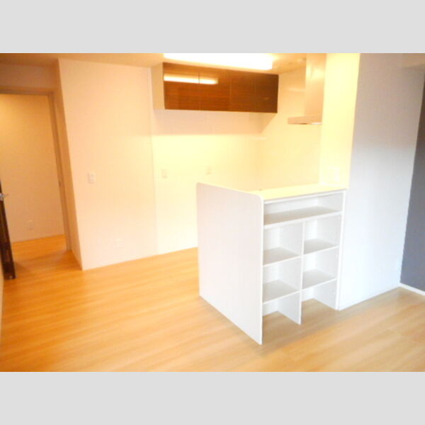 ルーチェ203号室 リビング②