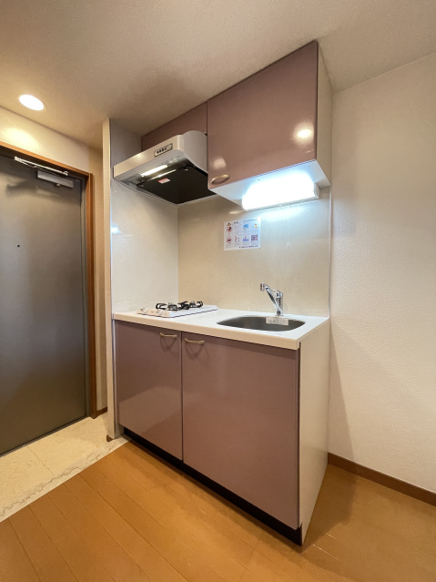 スカイコート学芸大学壱番館209号室 同タイプ参考写真