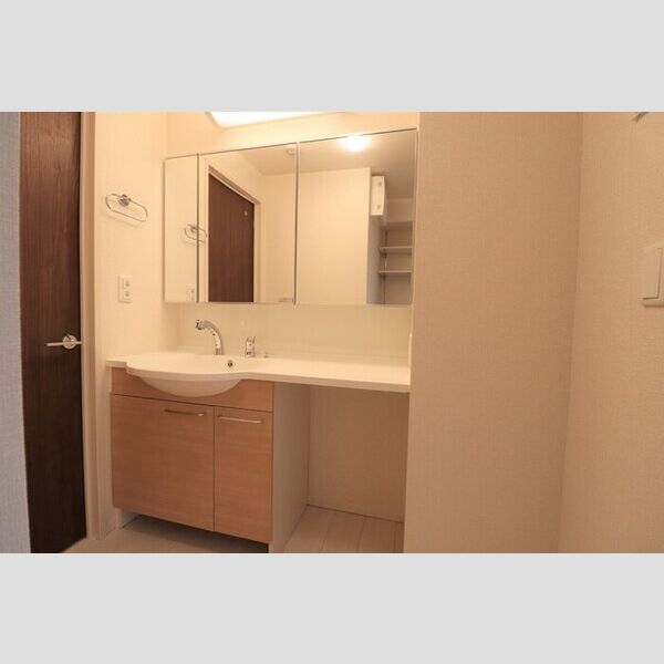 ロイジェントパークス レイクタウン Ⅲ　I201号室 洗髪洗面化粧台