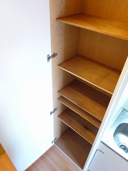 ライオンズマンション西川口第壱壱 収納