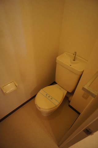 カサグランデ0209号室 落ち着いたトイレです
