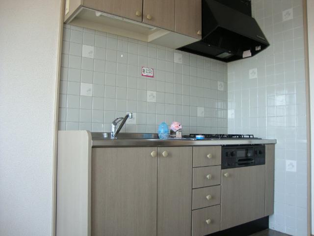 サザンフィールド301号室 キッチン