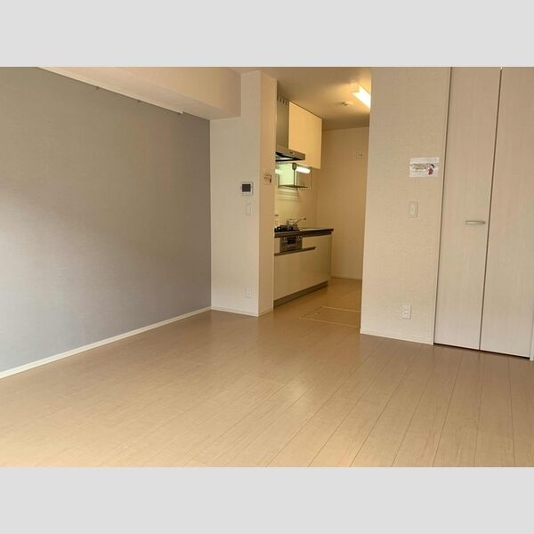 LUANA湘南102号室 洋室