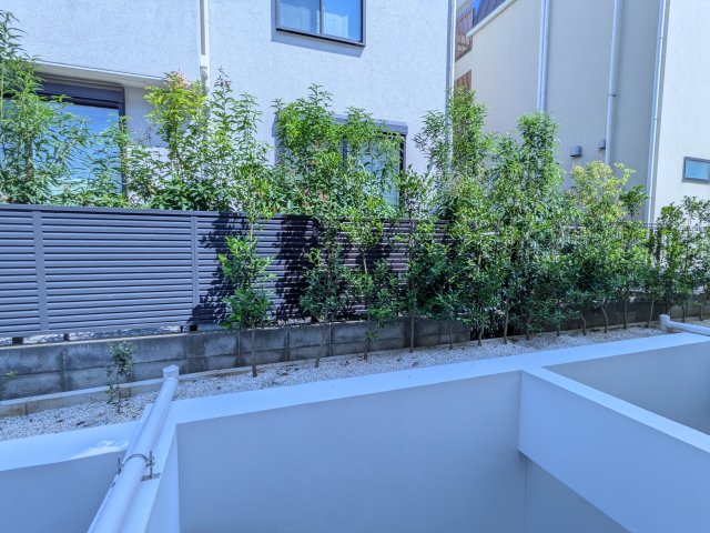 ソラシアレジデンス学芸大学Ⅱ0102号室 展望