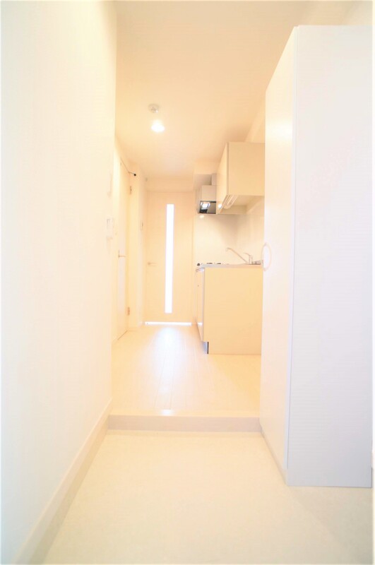 リブリ・グランドⅢ 玄関