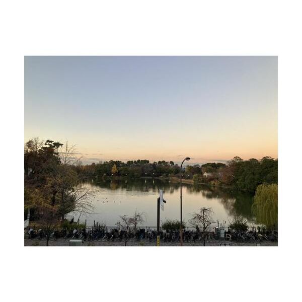 ルフューズ洗足池402号室 周辺