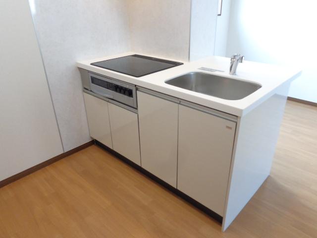 グリューネ　ハウス203号室 キッチン