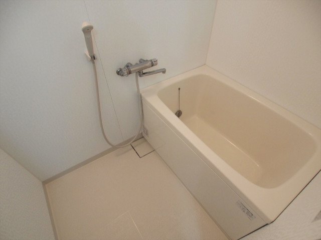 びらしんび 洗い場も広いバスルーム