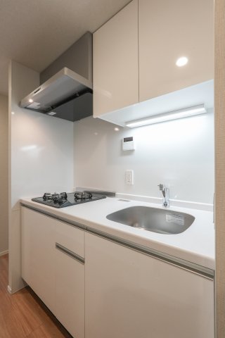 リビオメゾン大岡山401号室 キッチン