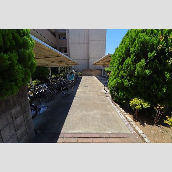 シャルマン 駐輪場