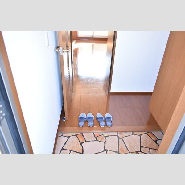 トレビナ与野本町 玄関