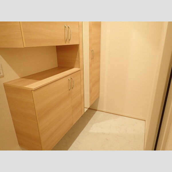 ブラン　ノワール多摩201号室 玄関(シューズボックス)