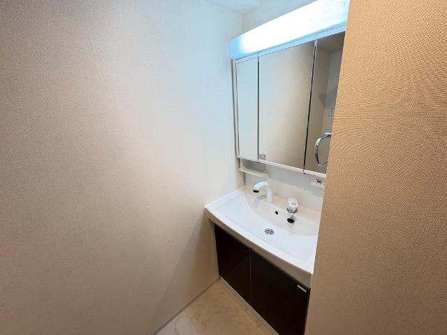 桜Flag801号室 洗面