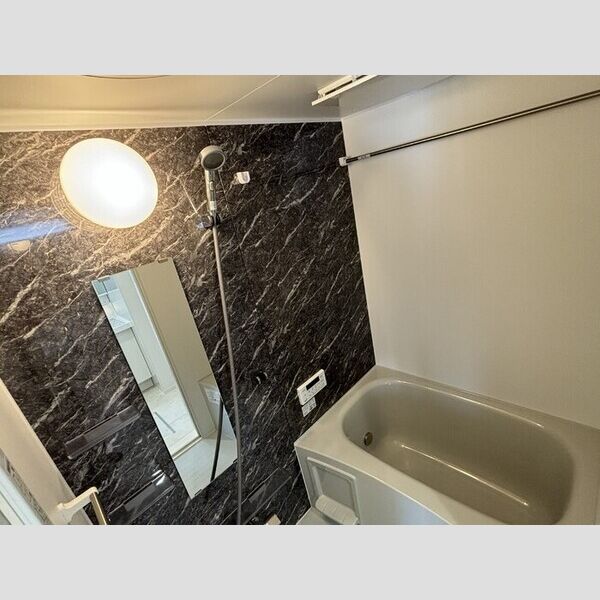 D Paina 桜ヶ丘301号室 浴室換気乾燥機付きバス