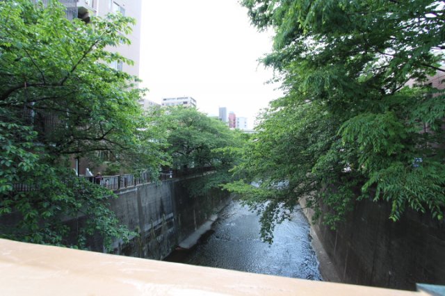 プライムアーバン板橋区役所前202号室 周辺