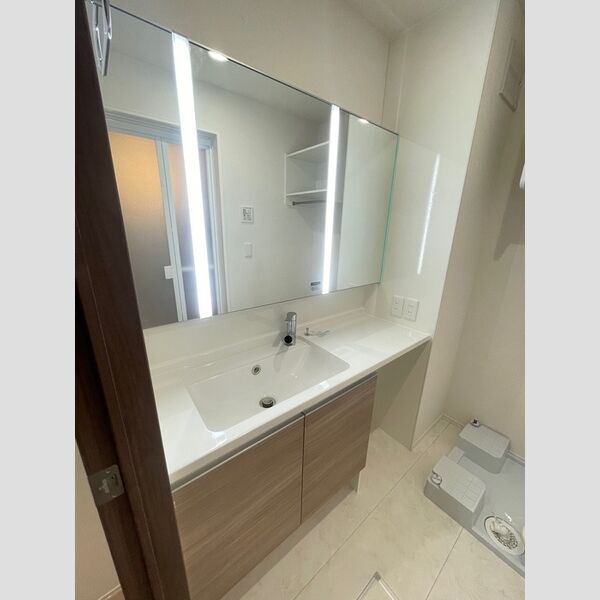 ラペーシュ湘南台302号室 洗面所