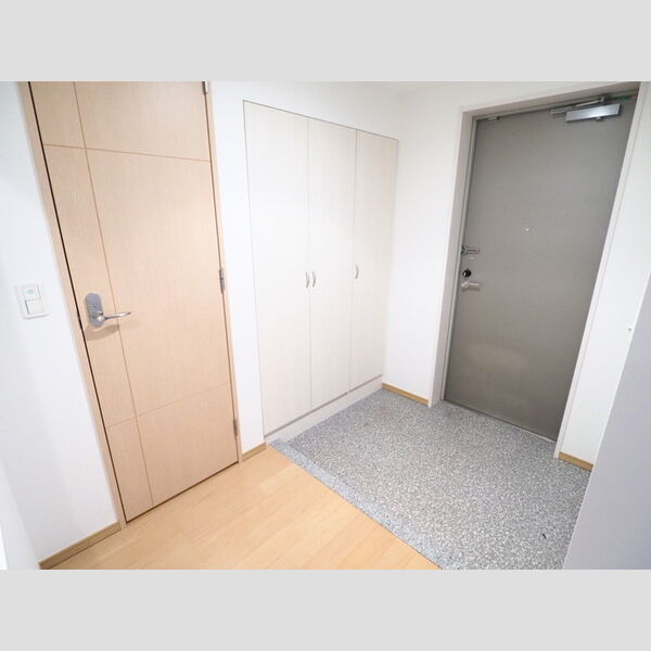 ロイヤルパークスリバーサイド0605号室 玄関