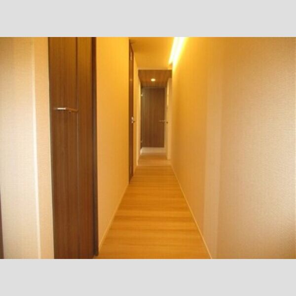 CLASSEUM都賀305号室 室内廊下