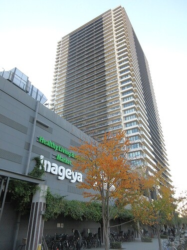 シティタワー金町　タワー棟の外観画像