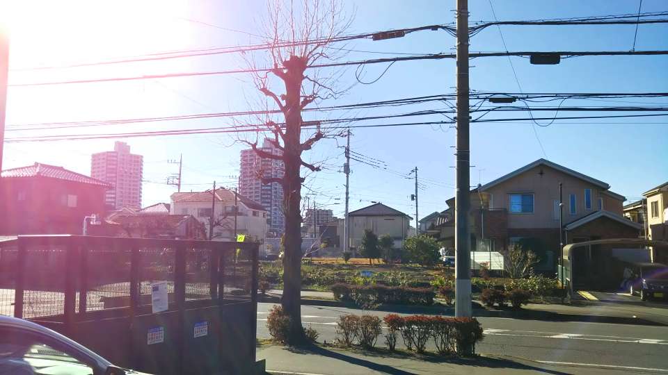 レオネクストセレッサ101号室 部屋その他