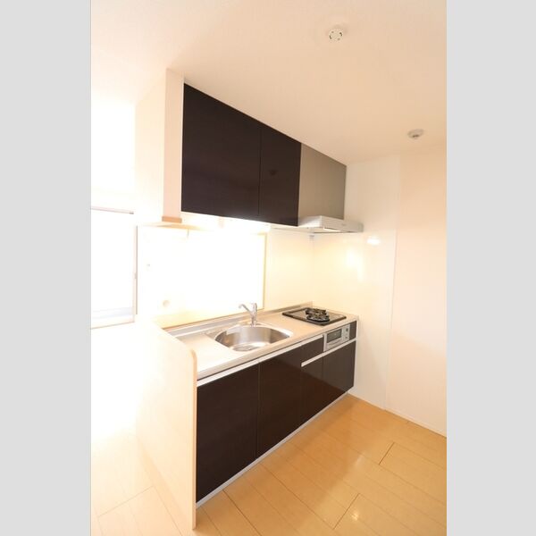 プランタン彩 対面システムキッチン