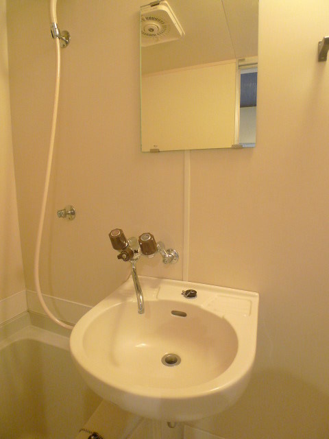 ラ・カーサ田尻0208号室 洗面