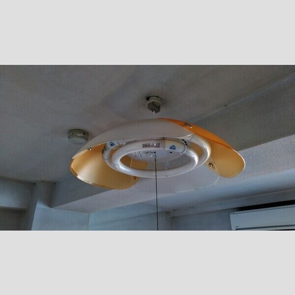 レディース・ビレッジ　ヨシトモ401号室 照明