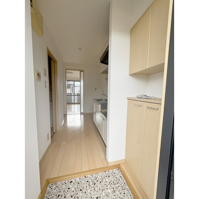 グリーンリーブスタチバナＢ棟205号室 シューズボックス付き玄関