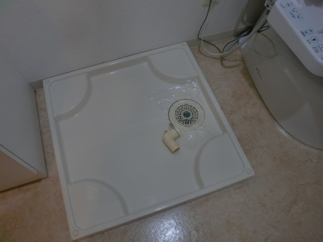 ライジングプレイス上板橋 室内洗濯機置場