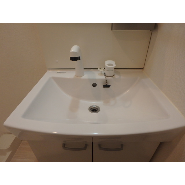 ＣＯＬＩＮＡ101号室 洗面台