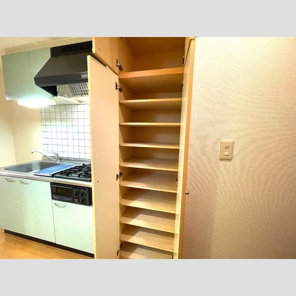 フォンテーヌ102号室 トールタイプシューズクローゼット