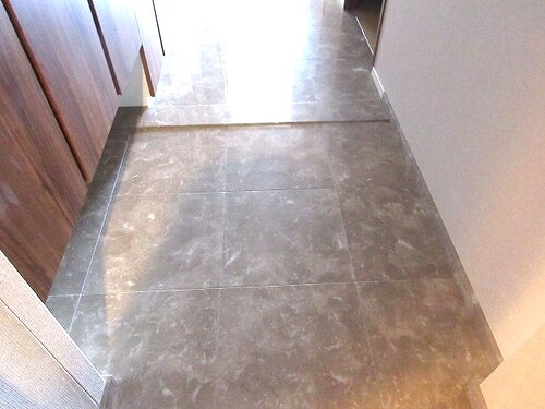 ザ・パークハウス西新宿タワー６０39階 玄関