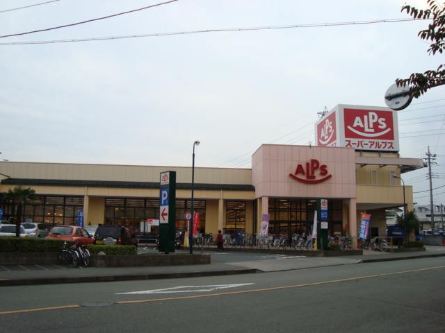 ジラフ２０１０ アルプスまで2,800ｍ