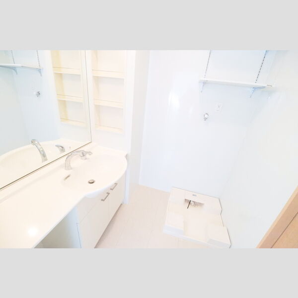 テラスコート301号室 洗髪洗面化粧台