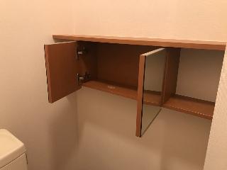 グランド・ソレイユ00102号室 トイレ戸棚