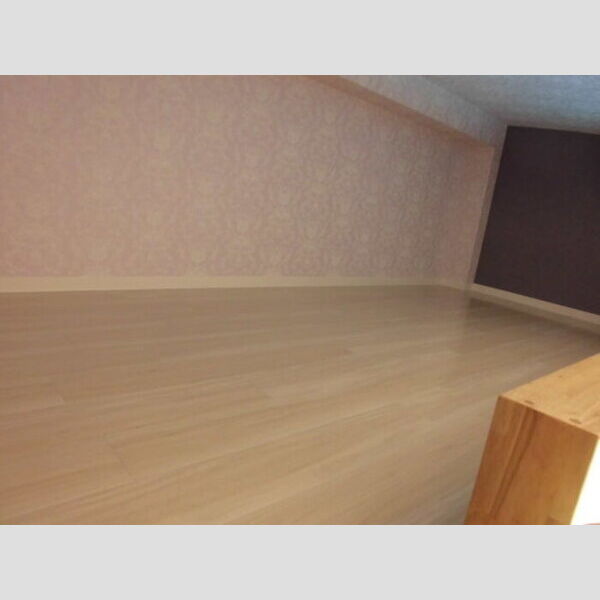 TRINITY11号室 11　ロフト