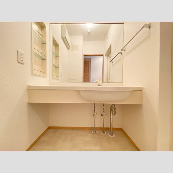 メゾン テラ302号室 洗面所