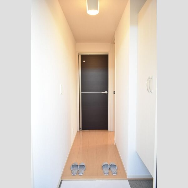 エアロドリーム203号室 玄関