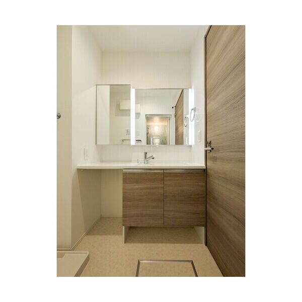 LAPIN湘南101号室 洗面