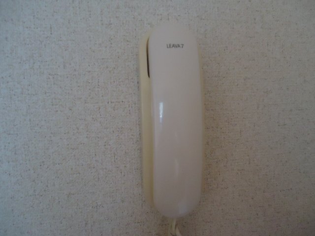 エル・アールＡＳＡＹＡ301号室 照明