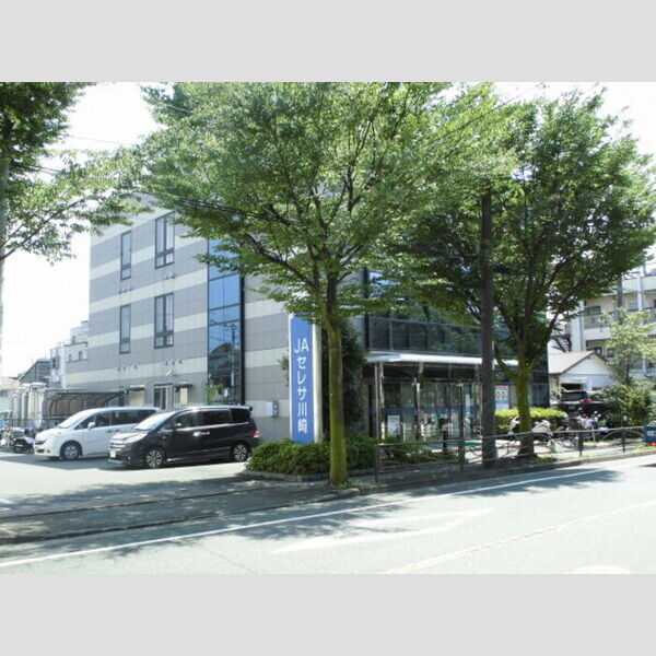 シンフォニー JAセレサ川崎野川支店(349m)