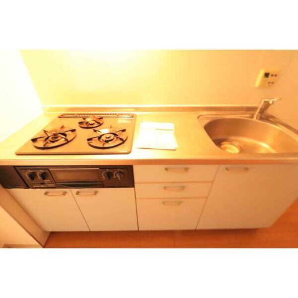 パルクFKN キッチン