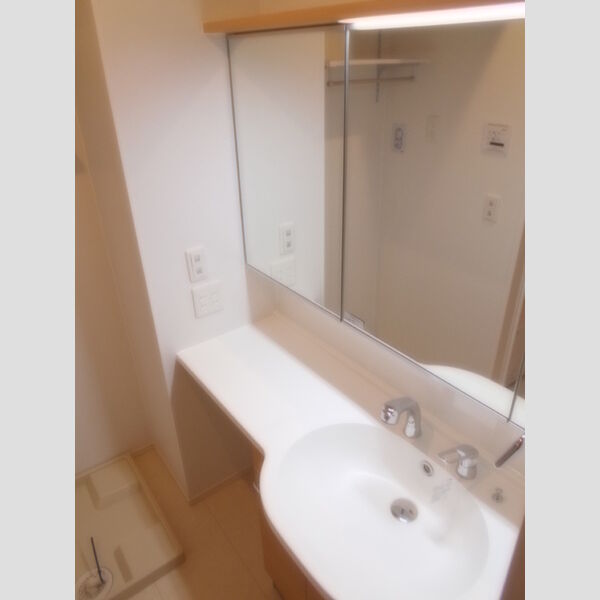 パークサイド 洗面