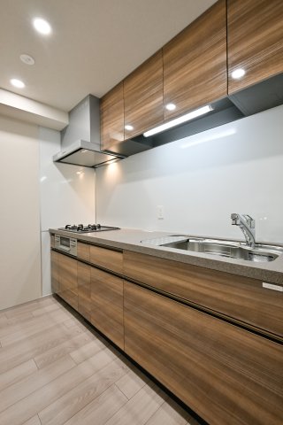 リビオメゾン西麻布904号室 洗面