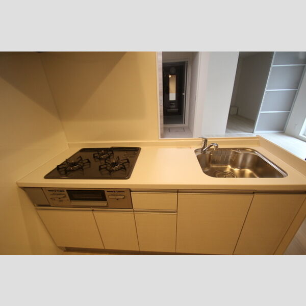 ラリュール谷在家 3口システムキッチン