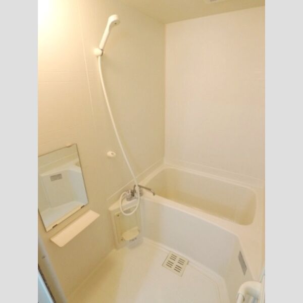 ル・モンテスト　F301号室 バスルーム